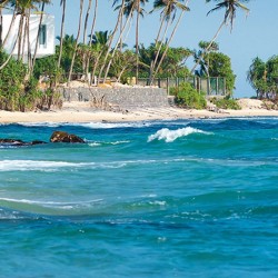 Adventure Backpacking Trip to Nilgiris 2D/1N ( 1N Nilgiris )